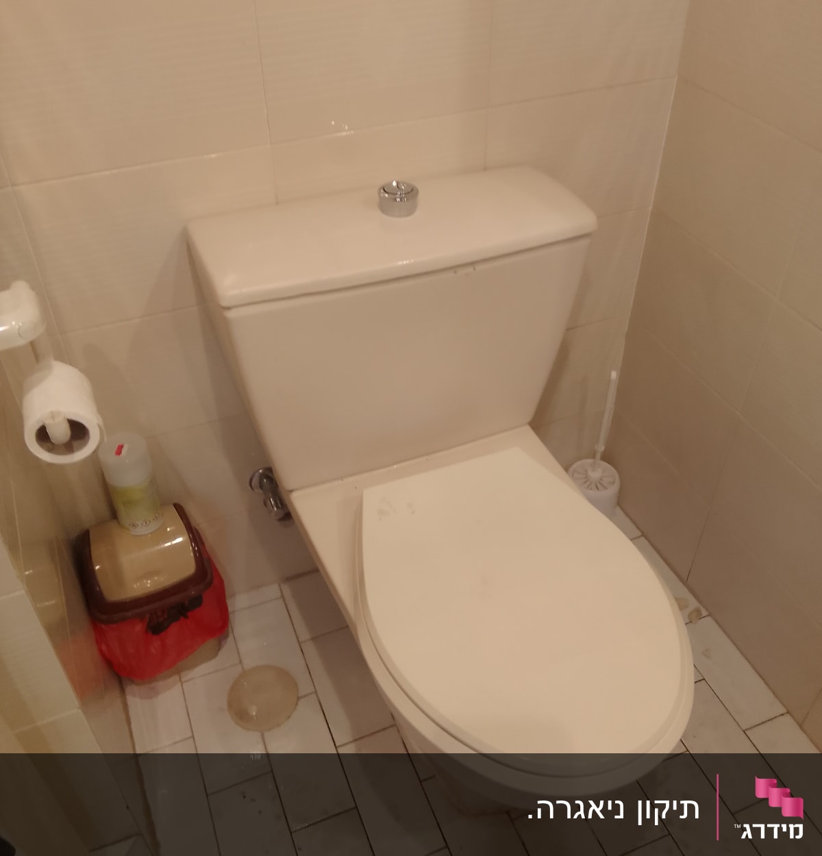 אסלה עם מברשת ניקוי ליד הקיר